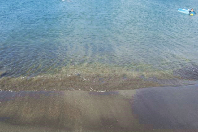 千葉の館山にある沖ノ島は水がきれい